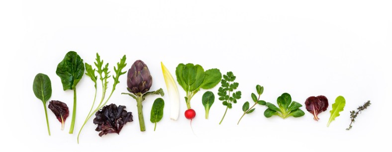 © 2014 Entre jardins