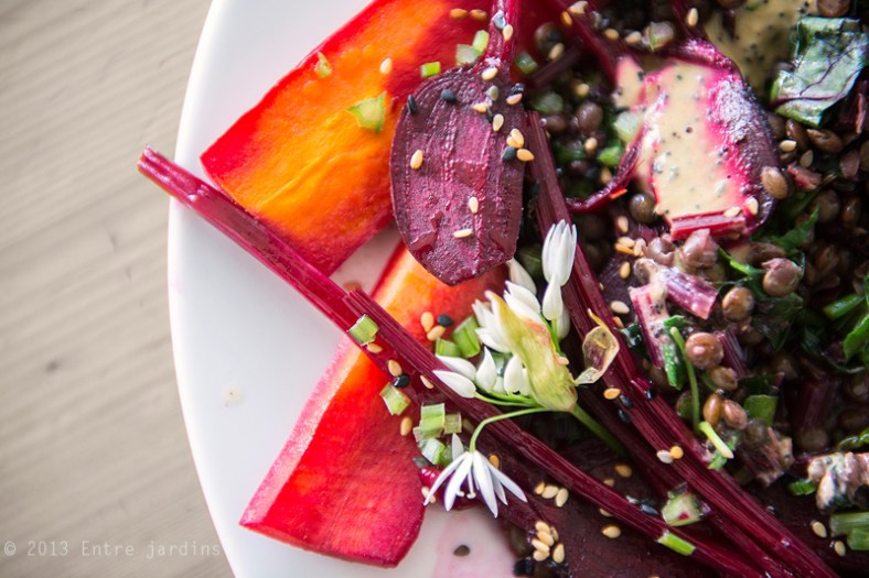 © 2013 Entre Jardins.