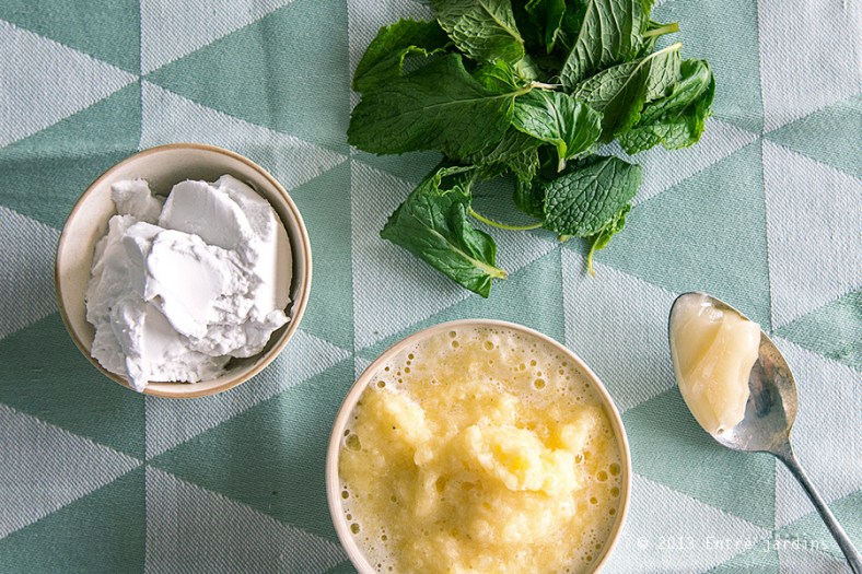 glace-pina-colada-01