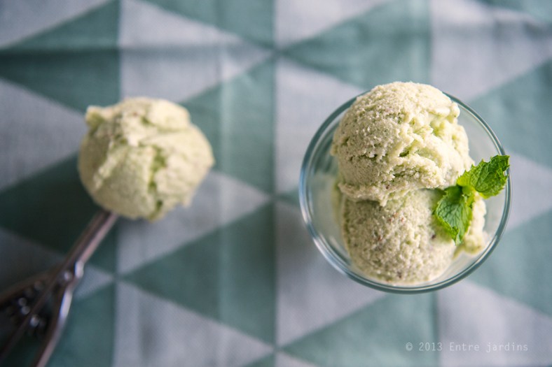 © 2013 Entre Jardins