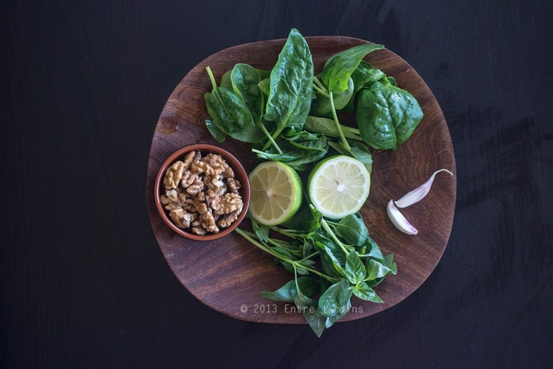 © 2013 Entre Jardins