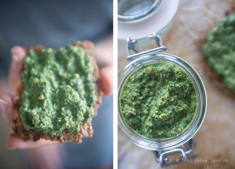 © 2013 Entre Jardins