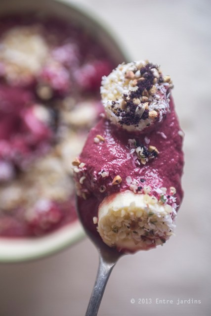 © 2013 Entre Jardins.