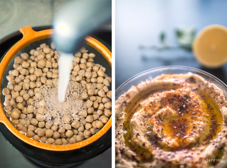 © 2013 Entre Jardins