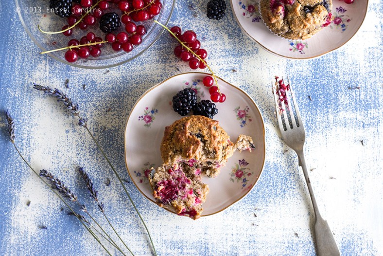 © 2013 Entre Jardins.