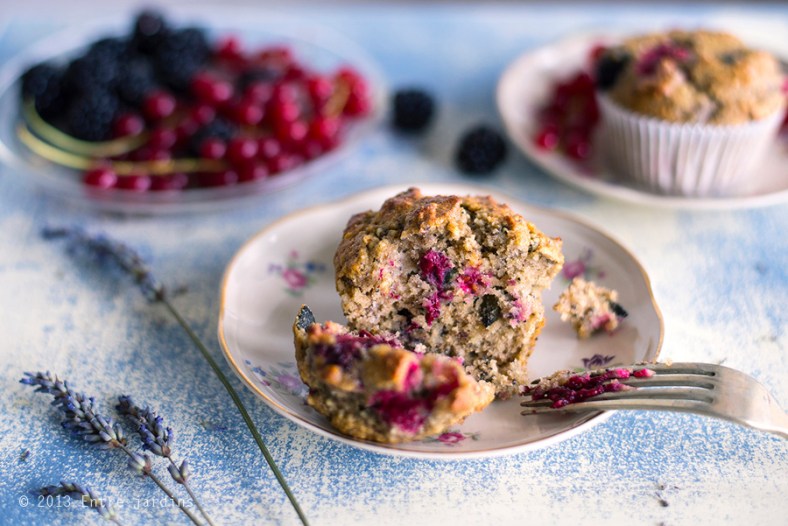 © 2013 Entre Jardins.