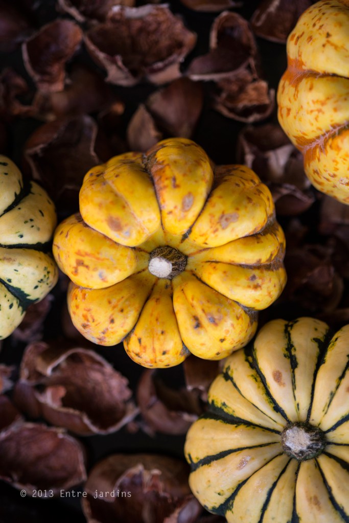 © 2013 Entre Jardins. 