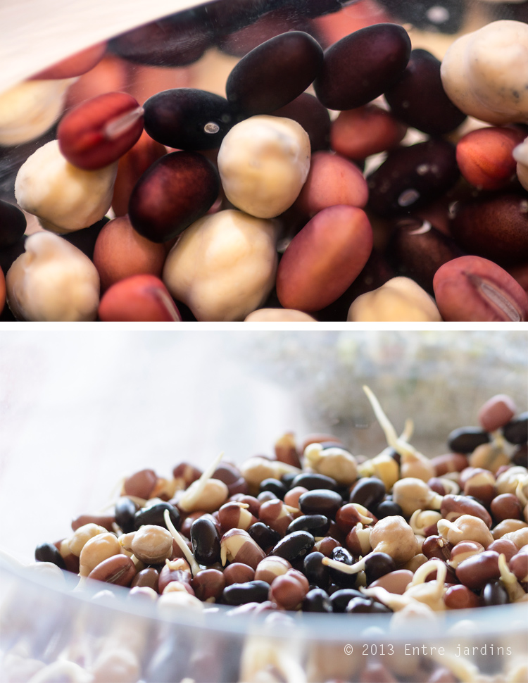 © 2013 Entre Jardins. 