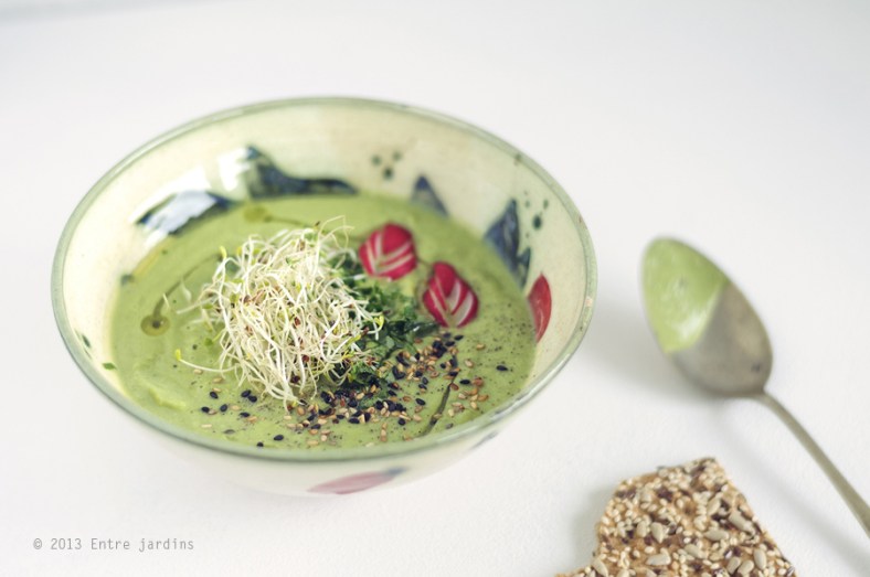 © 2013 Entre Jardins