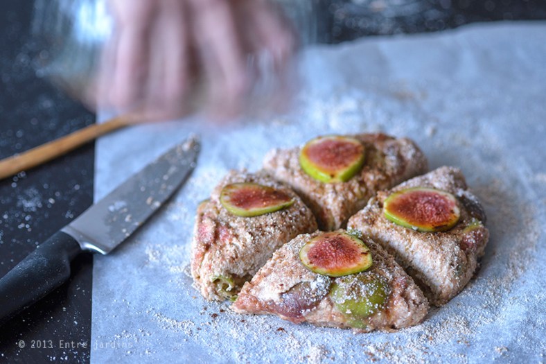 © 2013 Entre Jardins.