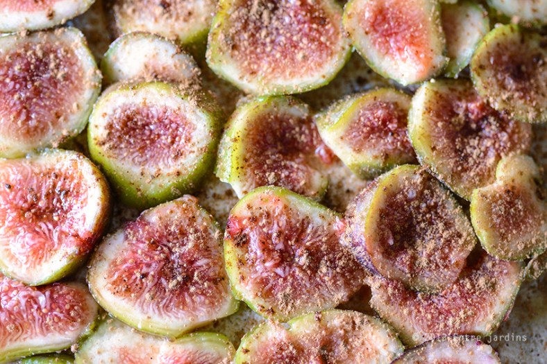 © 2013 Entre Jardins.