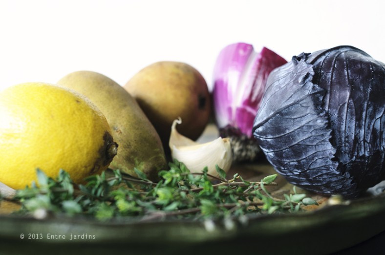 © 2013 Entre Jardins.