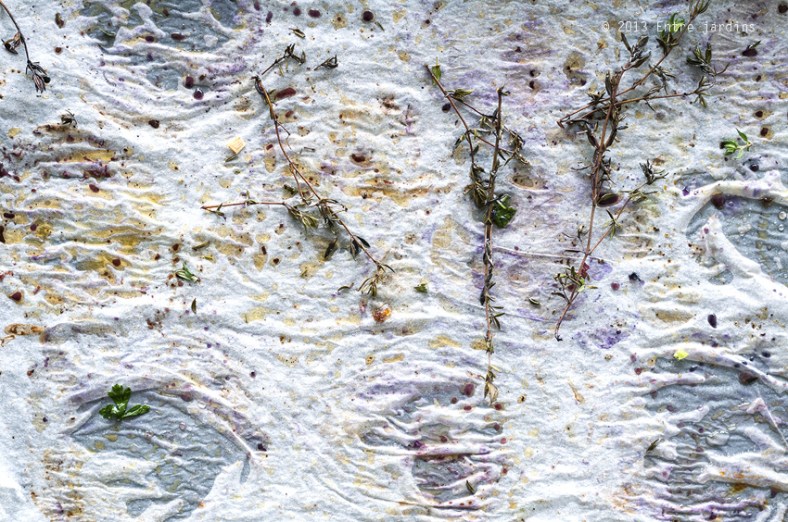 © 2013 Entre Jardins.