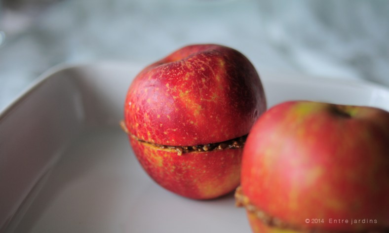 © 2014 Entre jardins