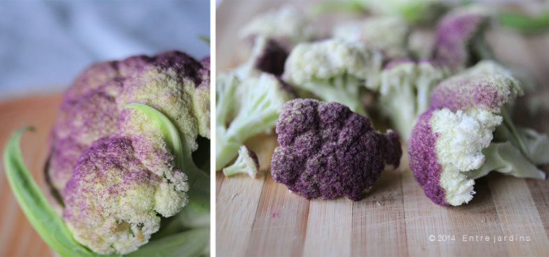 © 2014 Entre jardins