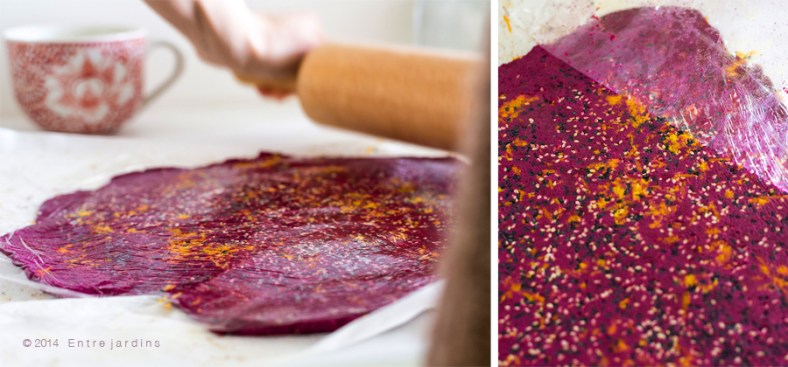 © 2014   E n t r e  j a r d i n s