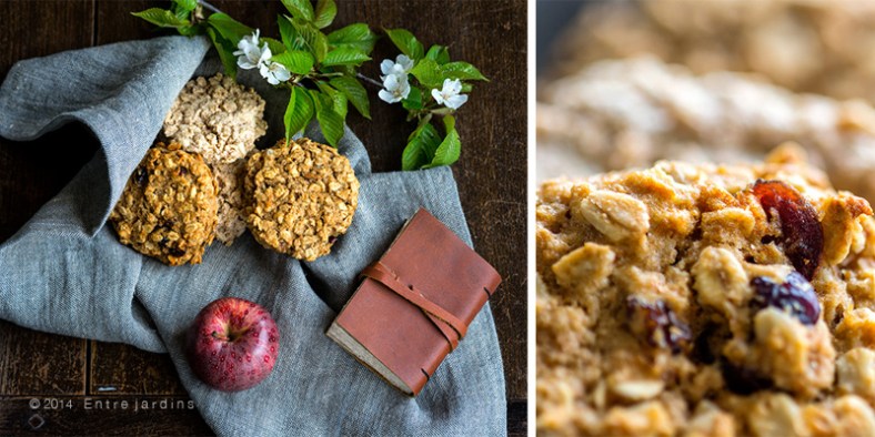 © 2014   E n t r e  j a r d i n s