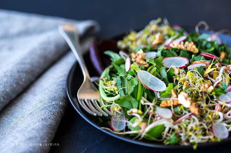 © 2014   E n t r e  j a r d i n s