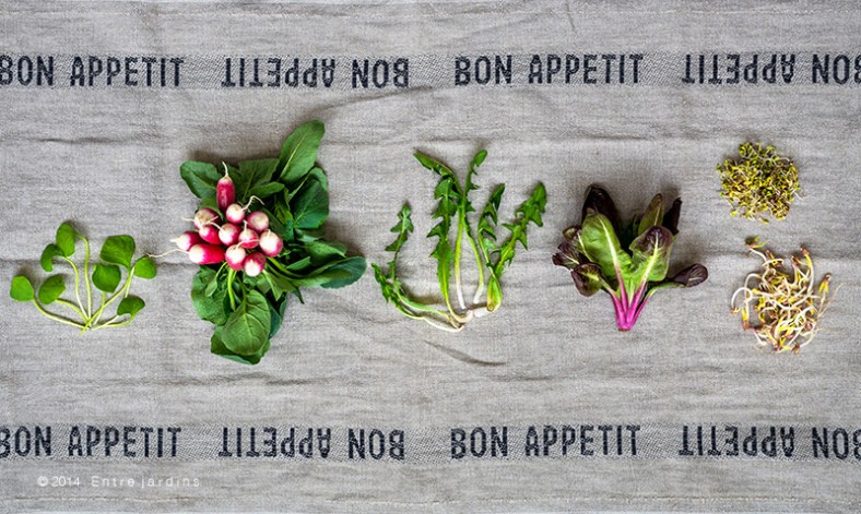 © 2014   E n t r e  j a r d i n s