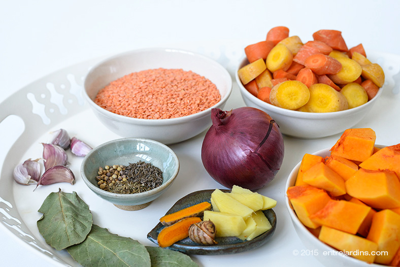 carrot-lentil-soup01