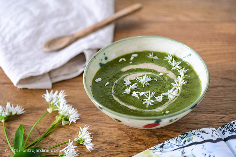 MintyNettleAlmondSoup @ Entrejardins.com
