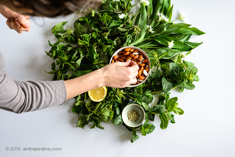 MintyNettleAlmondSoup @ Entrejardins.com