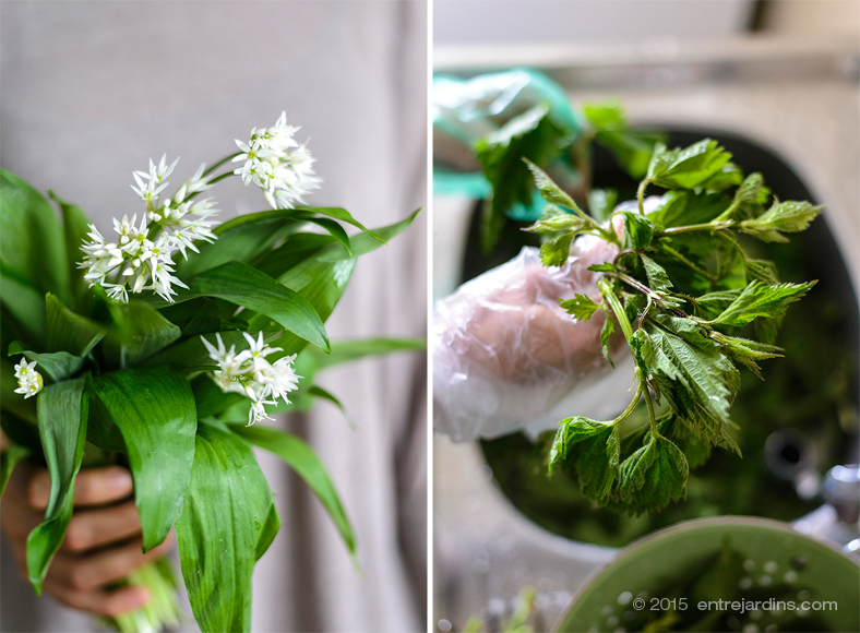 MintyNettleAlmondSoup @ Entrejardins.com