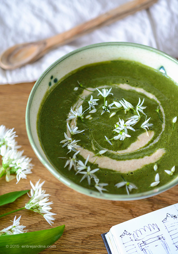 MintyNettleAlmondSoup @ Entrejardins.com