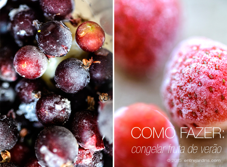 HowToFreezeFruit-pt