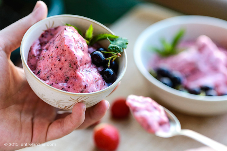 IceCream in 5min @ Entre jardins