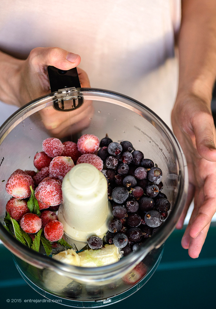 IceCream in 5min @ Entre jardins