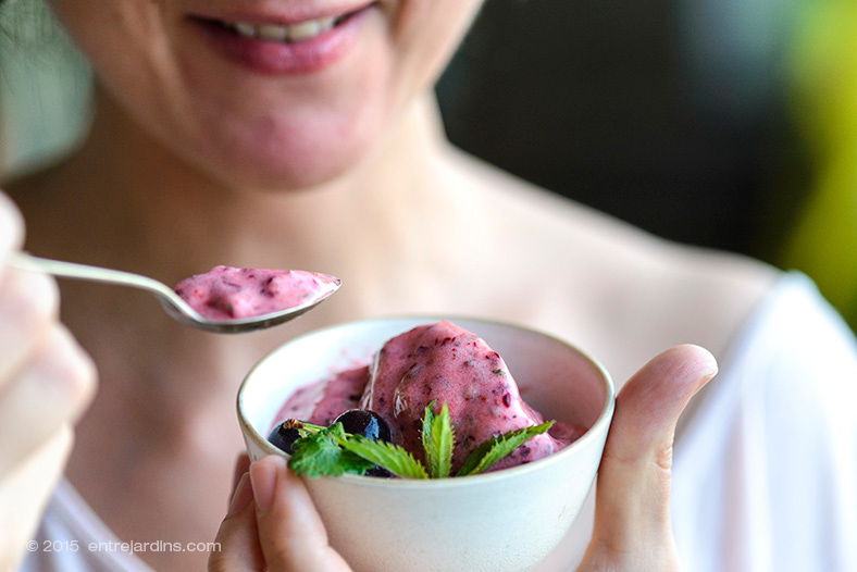 IceCream in 5min @ Entre jardins