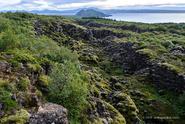 Entrejardins in Iceland