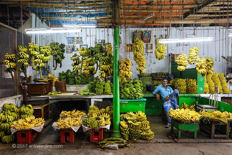 mysore-market-01
